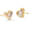 Gold Iridescent Abalone